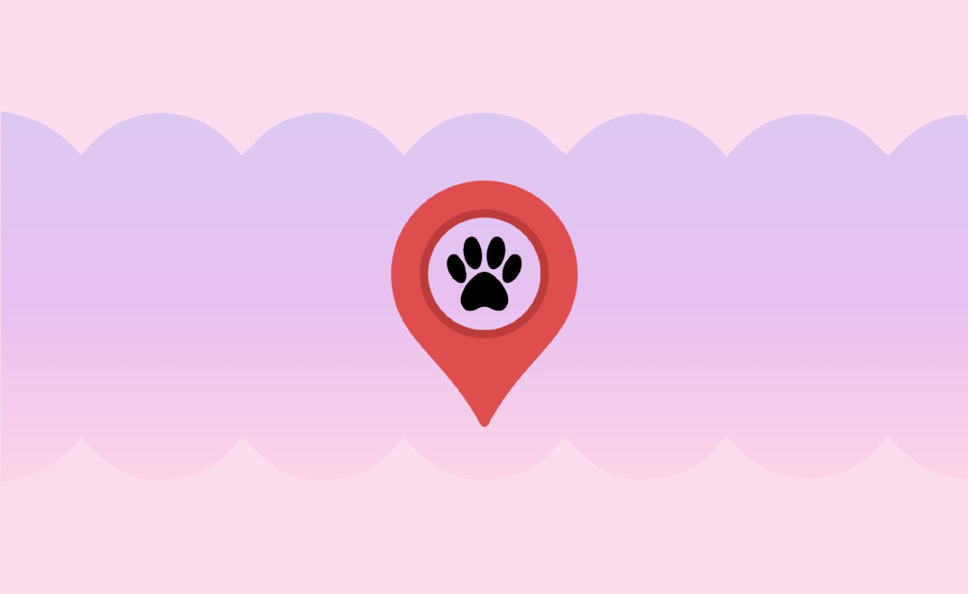 Pet-friendly: сервис для питомца как драйвер лояльности в ритейле